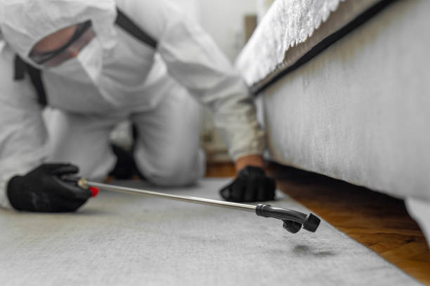 Professional Termite Control technician working in Pacific City, OR