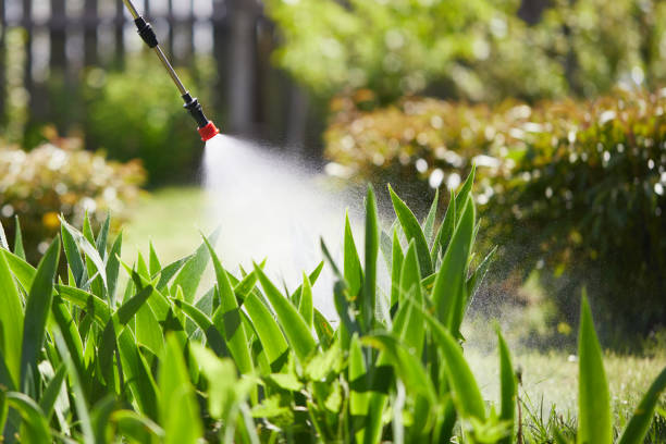 24/7 Emergency Termite Control experts in Pacific City, OR