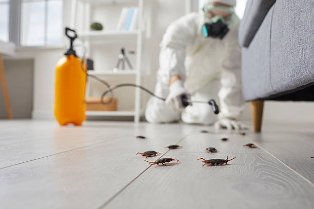 Trusted Termite Control service in Pacific City, OR - Nex Pest Control